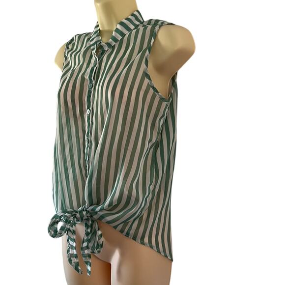 Passport Green & White Striped Chiffon Blouse Sheer Size Large Summer - Picture 3 of 10